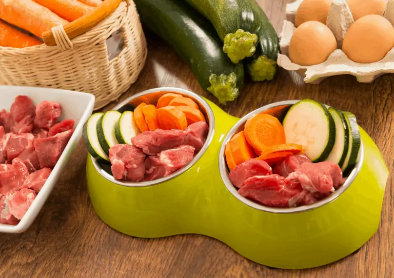 A pair of green dog bowls filled with raw ingredients including beef, carrot and courgette