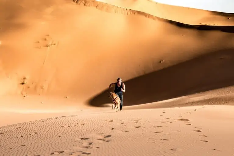 A dog and an athlete run up large sand dunes