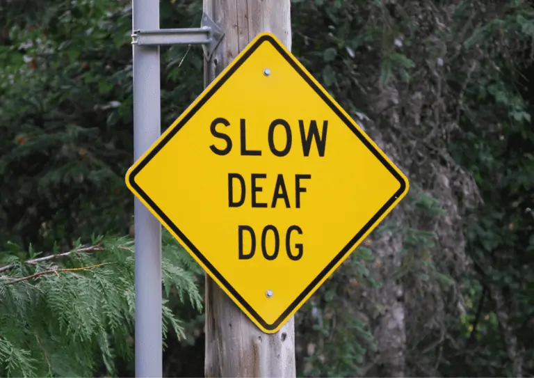 A road sign stating 'Slow deaf dog'