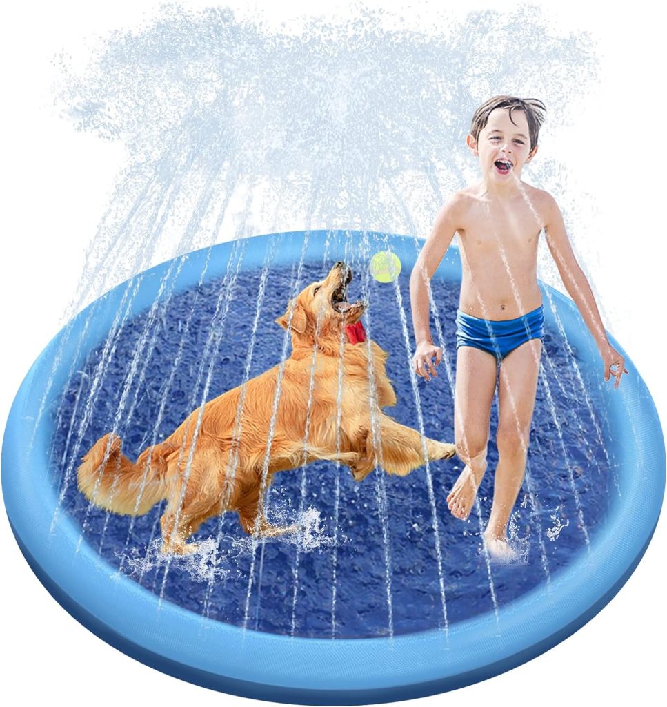 Raxurt Dog Pool,